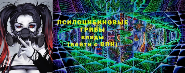 бошки Алексеевка