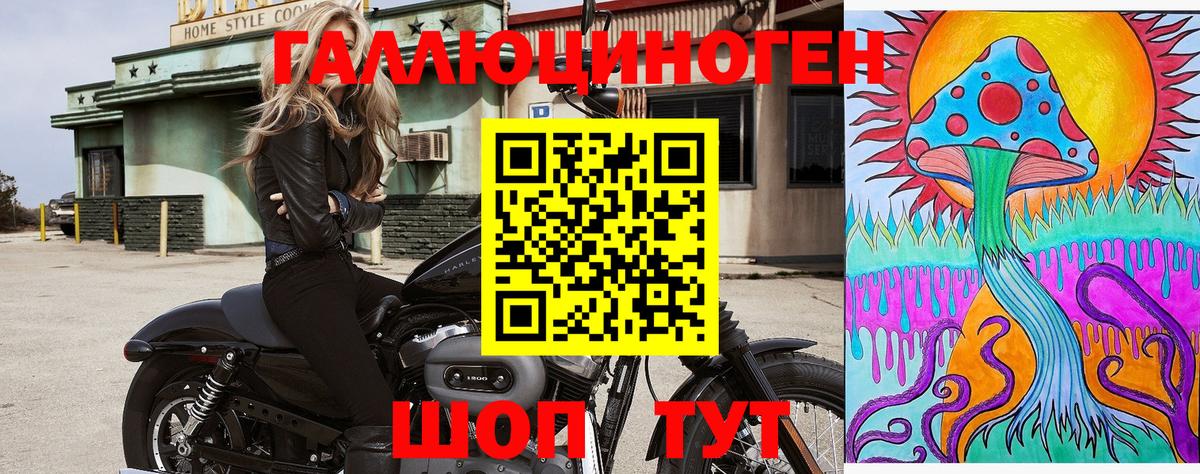 Псилоцибиновые грибы Psilocybe  Вход с VPN  Прохладный  Галлюциногенные грибы мицелий 
